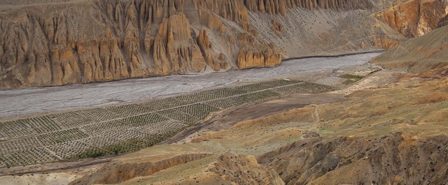 la plantation la plantation