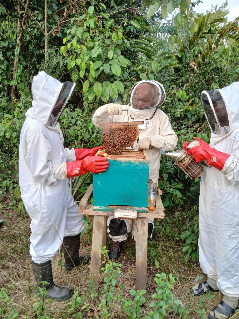 Apiculture1 Apiculture1